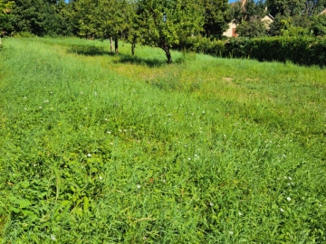 Vente à CHATEL EN TRIEVES